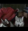 eightbelow_884.jpg
